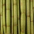 Bambus . Bundesgartenschau . Gera . 2007 (Foto: Manuela Hahnebach)