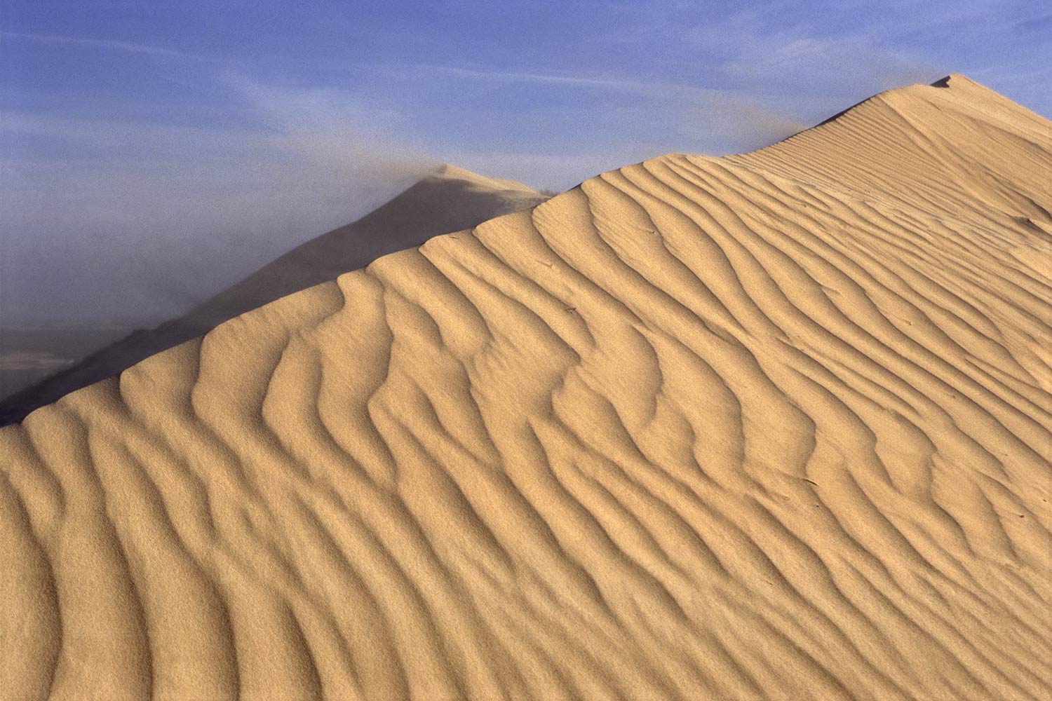 Landschaft . Rubjerg Düne . Dänemark . 1995 (Foto: Andreas Kuhrt)