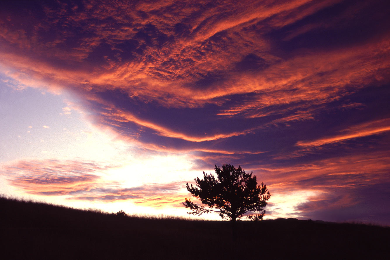 Landschaft . Am Coll de Espina . Pyrenäen . 1995 (Foto: Andreas Kuhrt)