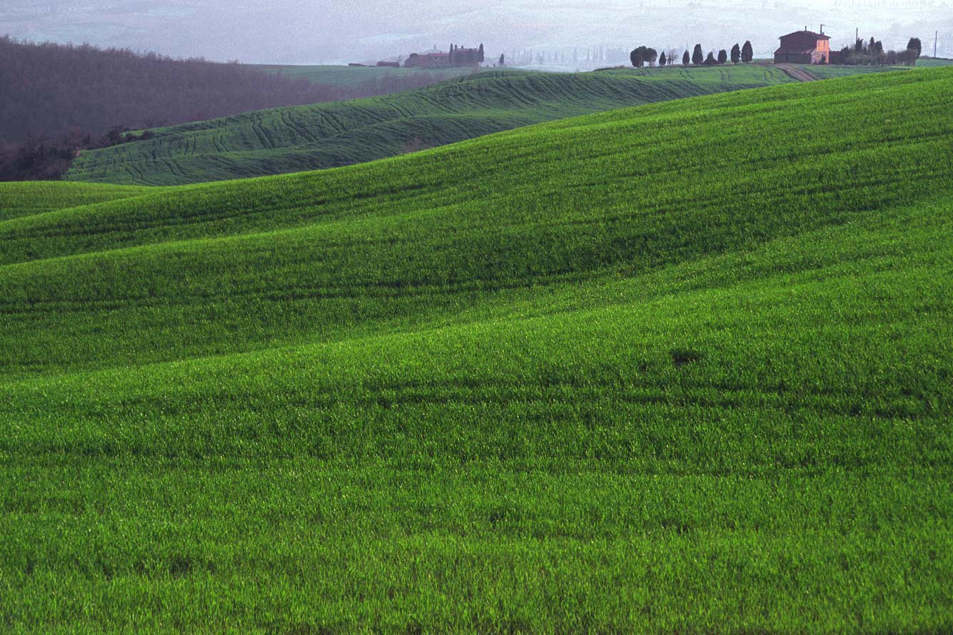 Landschaft . Bei Montepulciano . Toskana . 1996 (Foto: Andreas Kuhrt)