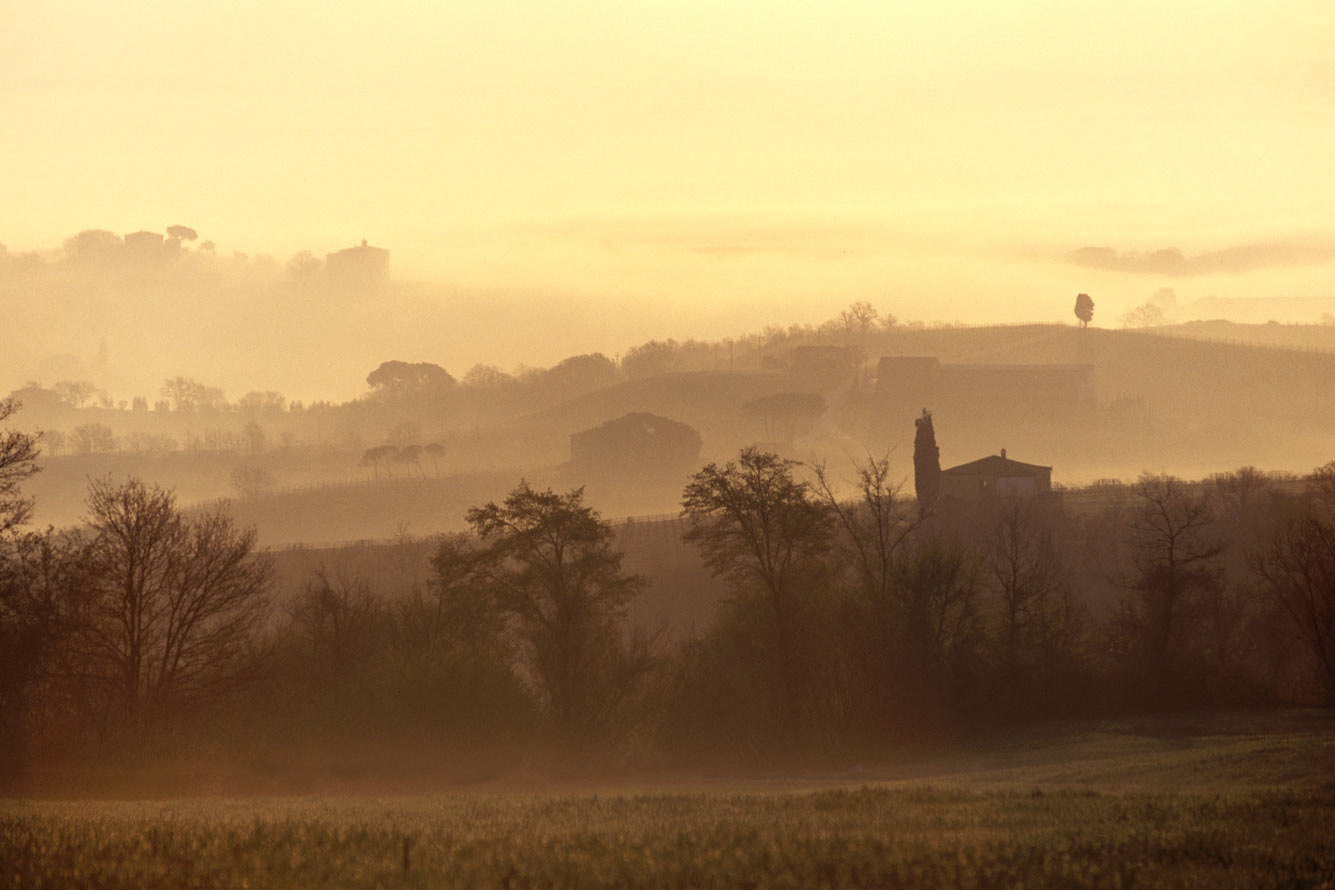 Landschaft . Bei San Quirico d'Orcia . Toskana . 1996 (Foto: Andreas Kuhrt)