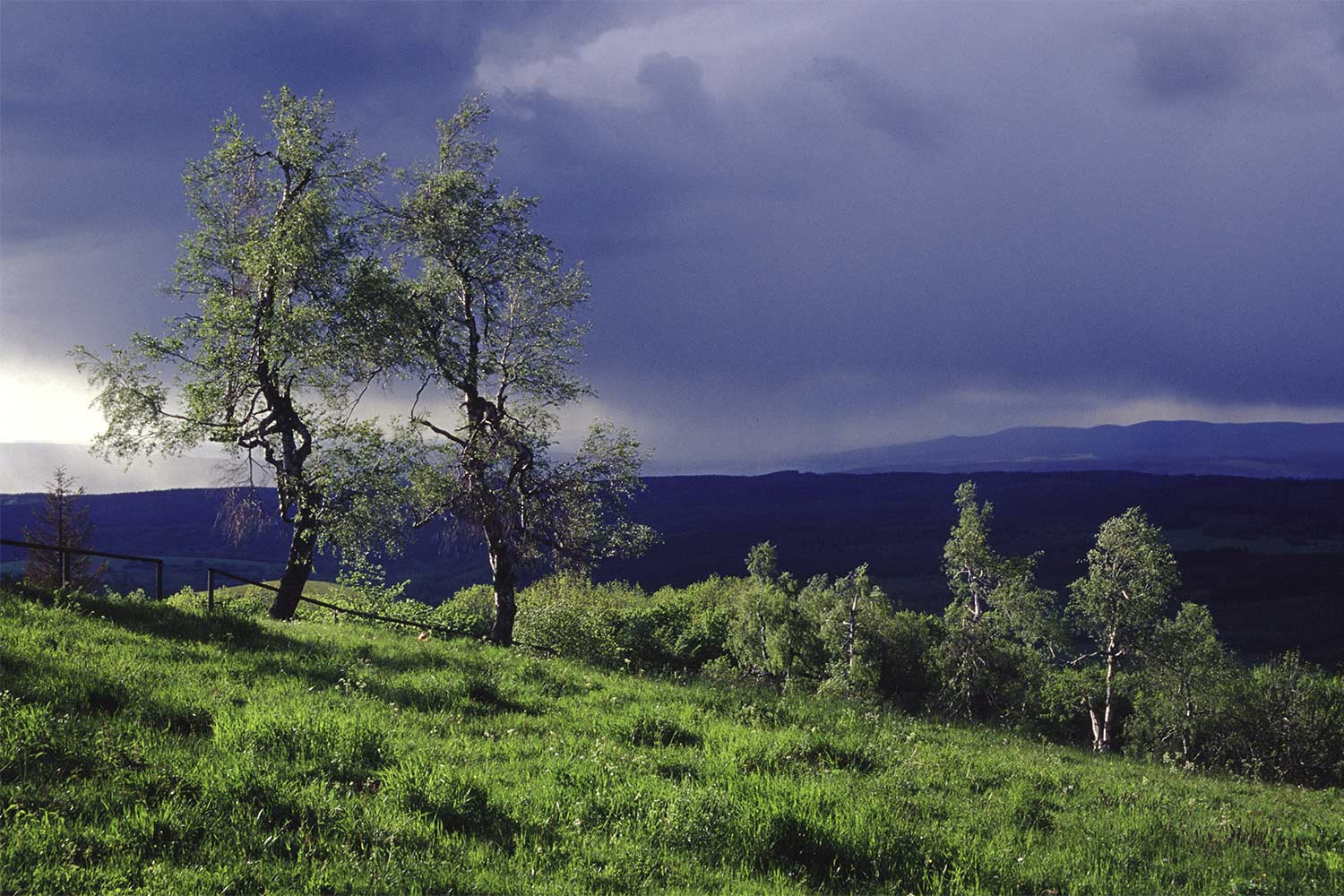 Am Dolmar . Thüringen . 2004 (Foto: Andreas Kuhrt)