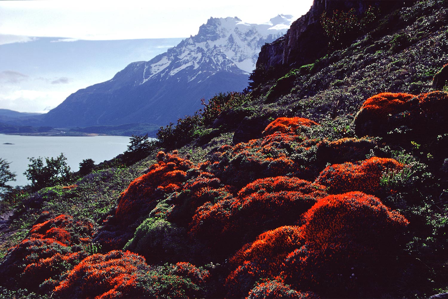 Lago Nordenskjöld . Torres del Paine . Patagonien . Chile . 2004 (Foto: Andreas Kuhrt)