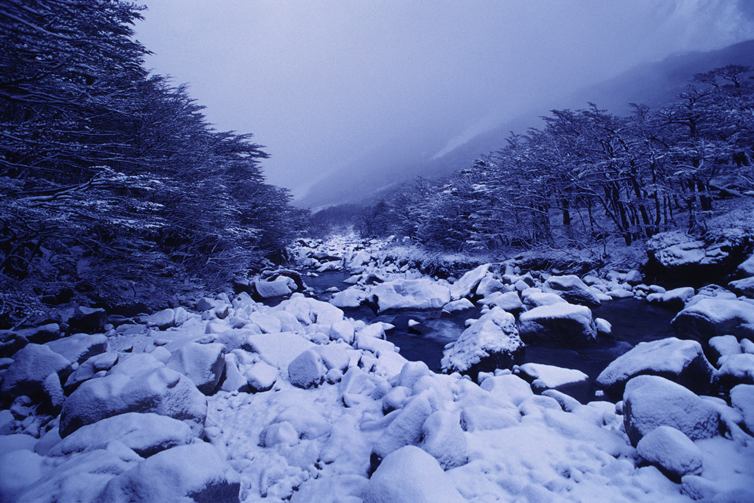 Valle del Frances . Torres del Paine . Patagonien . Chile . 2004 (Foto: Andreas Kuhrt)