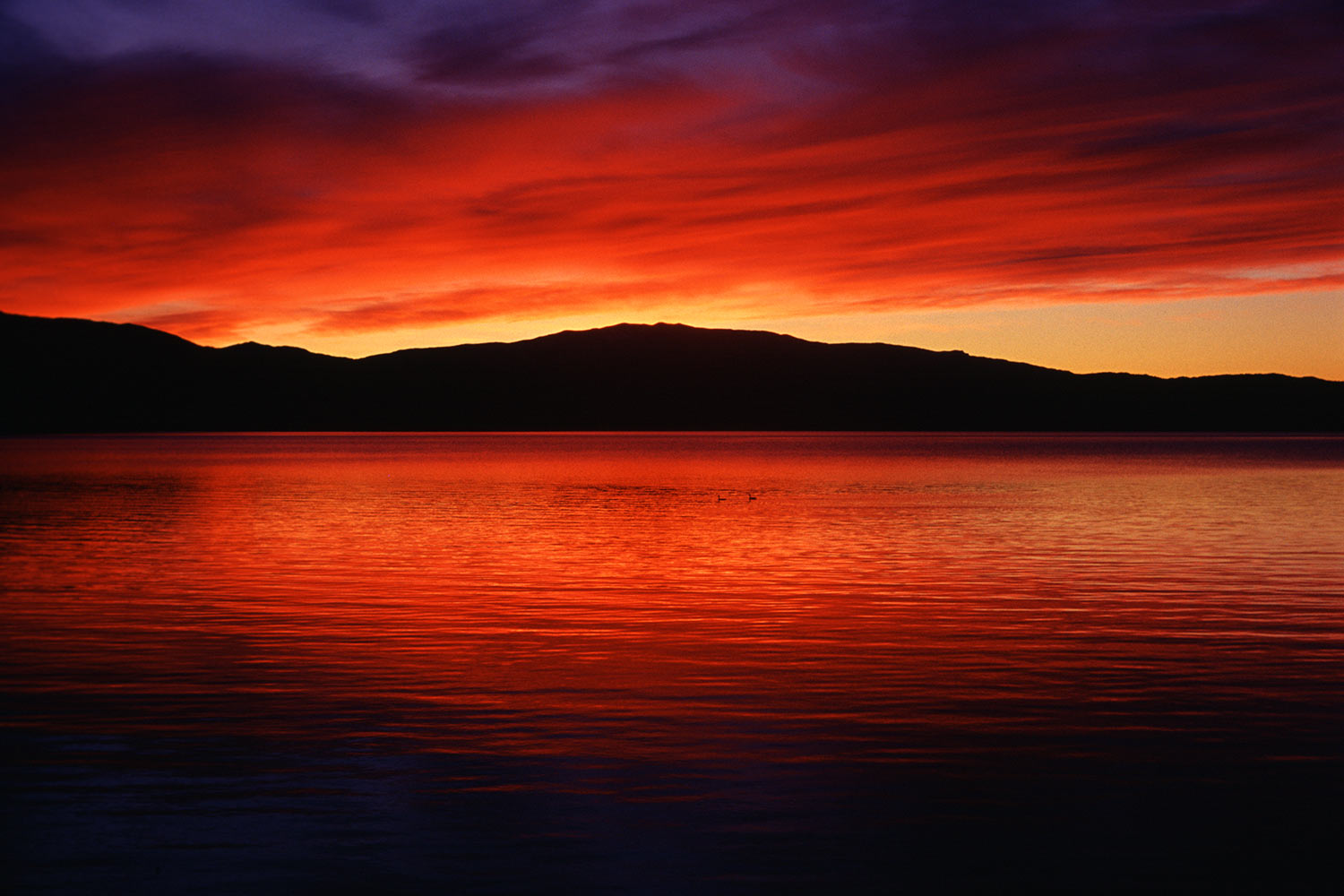 Lago Pehoe . Torres del Paine . Patagonien . Chile . 2004 (Foto: Andreas Kuhrt)