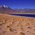 Laguna Miscanti . Atacama . 2004 (Foto: Andreas Kuhrt)