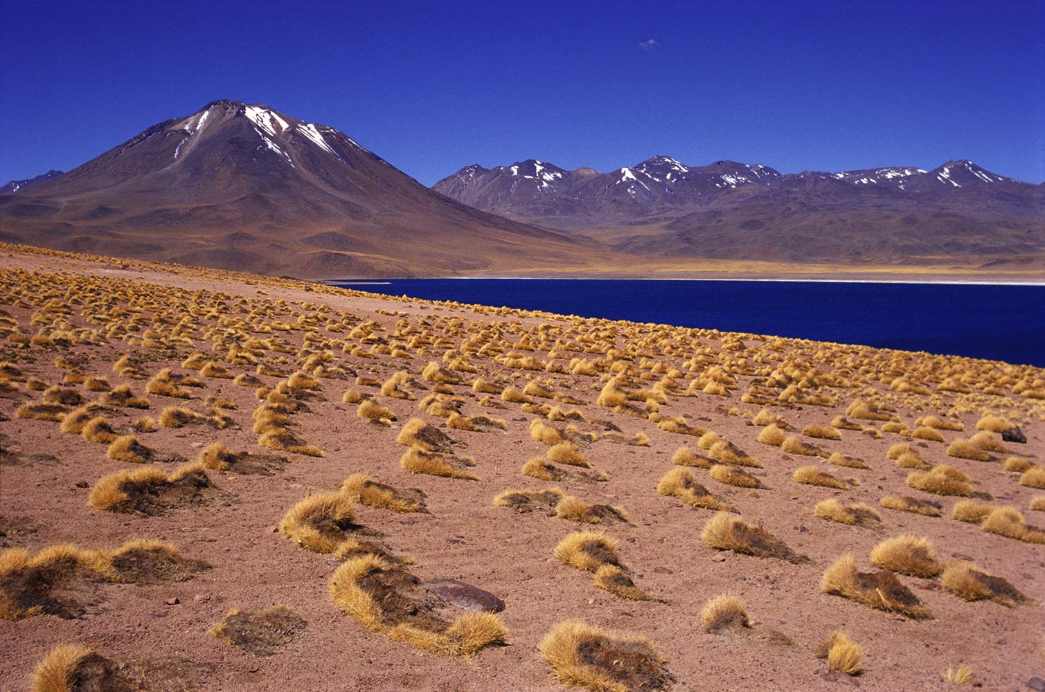 Laguna Miscanti . Atacama . 2004 (Foto: Andreas Kuhrt)