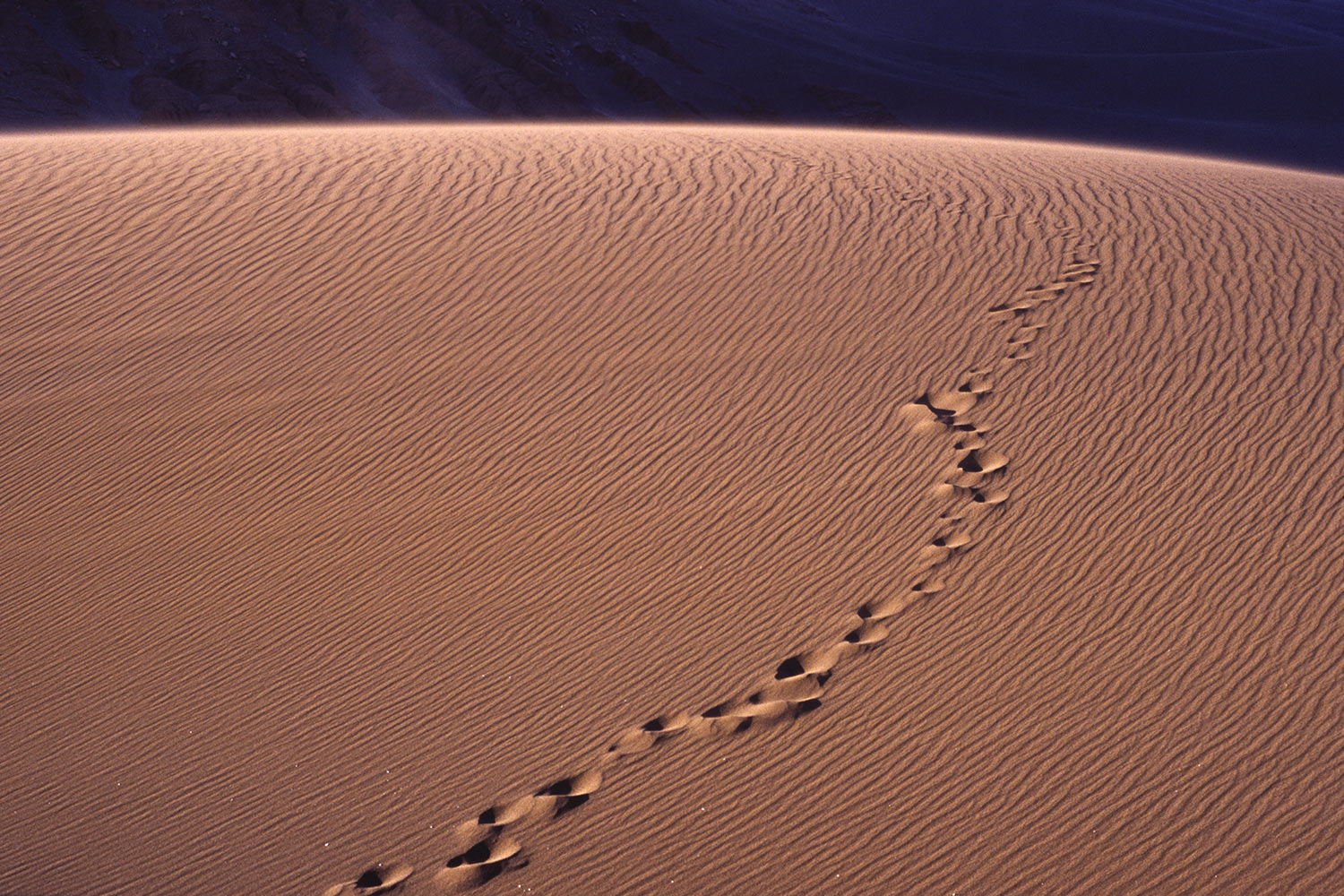 Düne . Valle de la Muerte . Atacama . Chile . 2004 (Foto: Manuela Hahnebach)