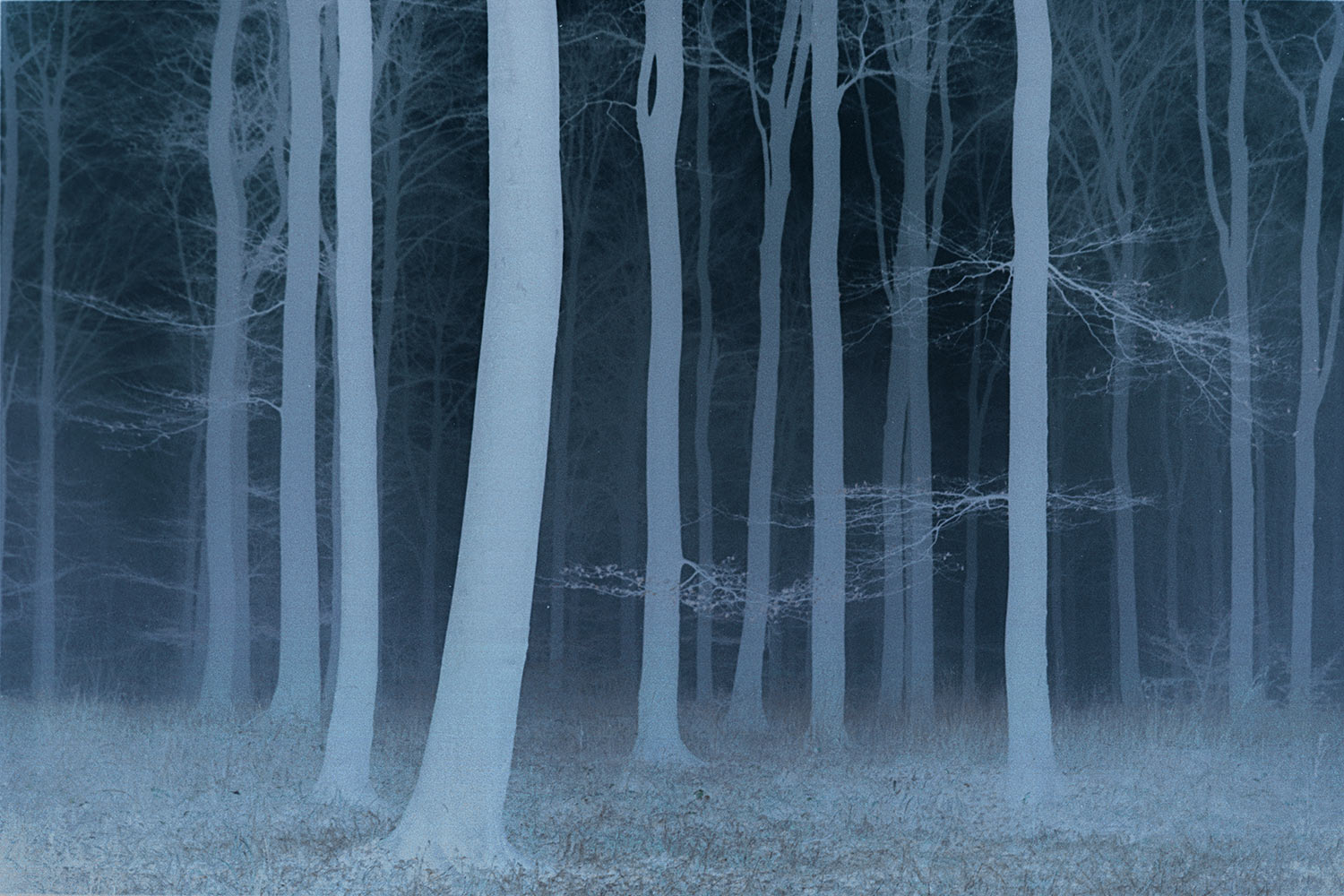 Blauwald . am Rennsteig . beim Donnershaug . 2005 (Foto und Bearbeitung: Manuela Hahnebach)