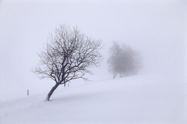 Am Knüllfeld . Thüringer Wald . 2006 (Foto: Andreas Kuhrt)