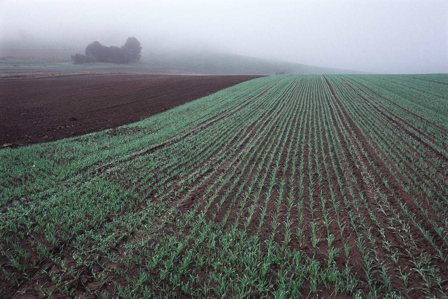 Feldlinien . Bei Heringen . Hessen . 2007 (Foto: Andreas Kuhrt)
