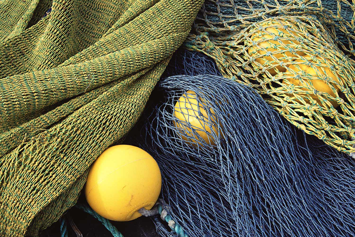 Fischernetz . Aasiaat . Grönland . 2009 (Foto: Andreas Kuhrt)