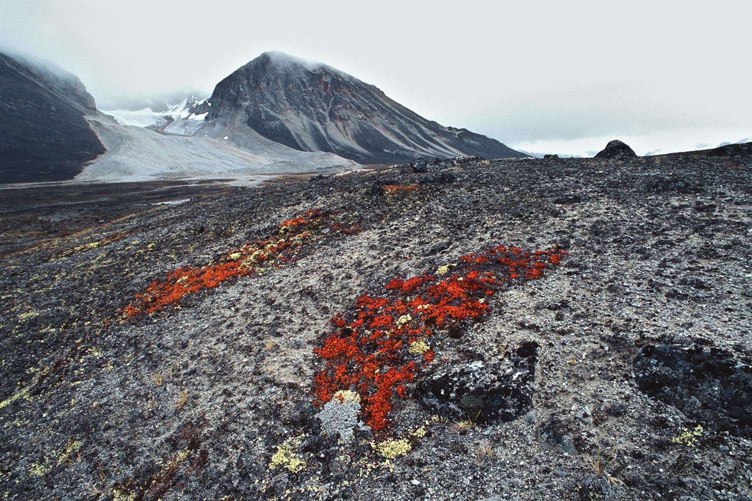 Saqqaqdalen . Nuussuaq . Grönland . 2009 (Foto: Andreas Kuhrt)