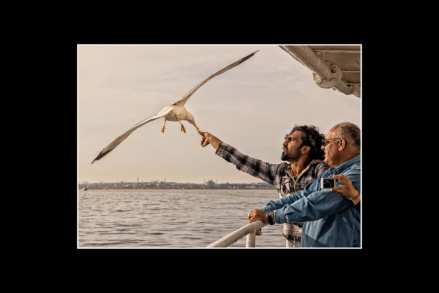 Möwen-Pick (Foto: Jens Gutberlet). Fotoausstellung Istanbulofoten . Landratsamt Hildburghausen . 2013