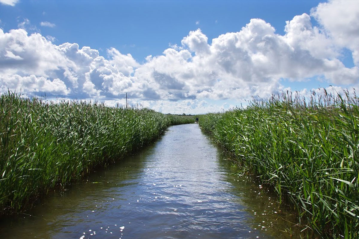 2022 Estland: Saaremaa: Vilsandi NP: Käkisilma Wanderweg (Foto: Kristjan Puistaja, Google Maps)