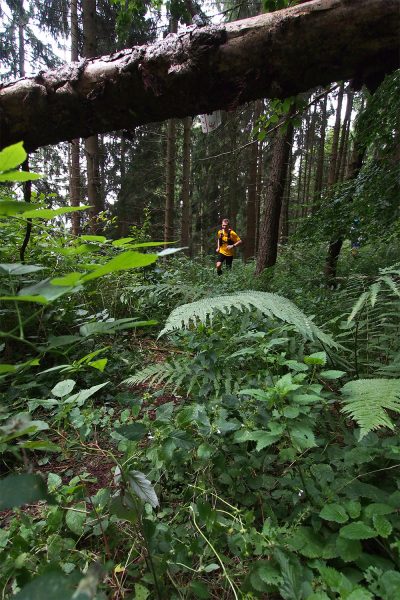 Am Bergbaupfad am Domberg Suhl: Roman Freitag . Südthüringentrail 2017 (Foto: Andreas Kuhrt)