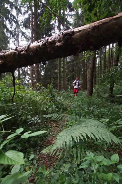 Am Bergbaupfad am Domberg Suhl: Ronald Speer . Südthüringentrail 2017 (Foto: Andreas Kuhrt)