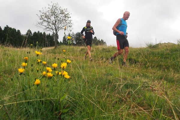 Am Gänserasen Albrechts . Südthüringentrail 2017 (Foto: Andreas Kuhrt)