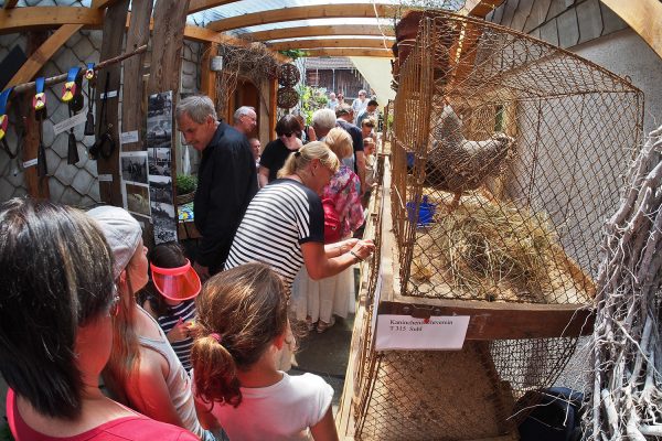 Offene Höfe: Dreiseithof . Dorffest 700 Jahre Suhl-Neundorf . 09.06.2018 (Foto: Andreas Kuhrt)