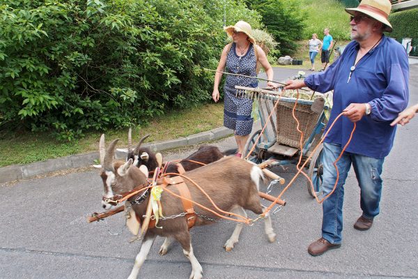 Vorbereitung zum Festumzug . Dorffest 700 Jahre Suhl-Neundorf . 10.06.2018 (Foto: Andreas Kuhrt)