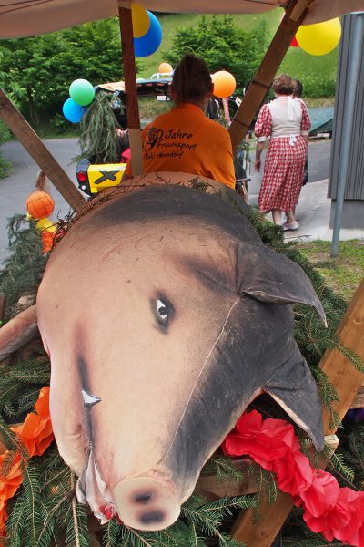 Vorbereitung zum Festumzug . Dorffest 700 Jahre Suhl-Neundorf . 10.06.2018 (Foto: Andreas Kuhrt)