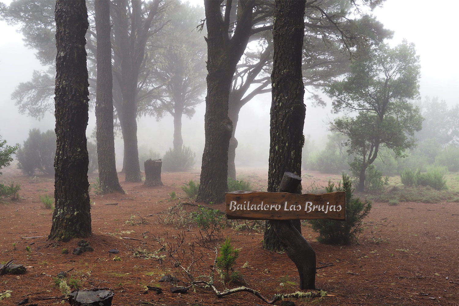 2018-11-kanarische-inseln-E0029595mh-el-hierro-bailadero-las-brujas Bailadero las Brujas . El Hierro . Kanarische Inseln 2018 (Foto: Manuela Hahnebach)