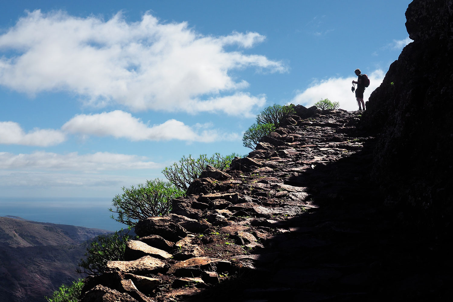 Camino la Mérica . Valle Gran Rey . La Gomera . Kanarische Inseln 2018 (Foto: Manuela Hahnebach)