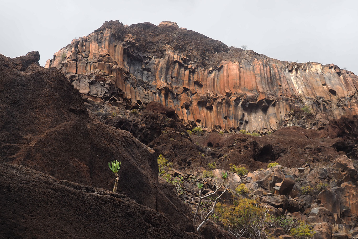 Basaltsäulen am Camino la Mérica . Valle Gran Rey . La Gomera . Kanarische Inseln 2018 (Foto: Manuela Hahnebach)