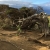 Wacholderbaum im El Sabinar . El Hierro . Kanarische Inseln 2018 (Foto: Manuela Hahnebach)