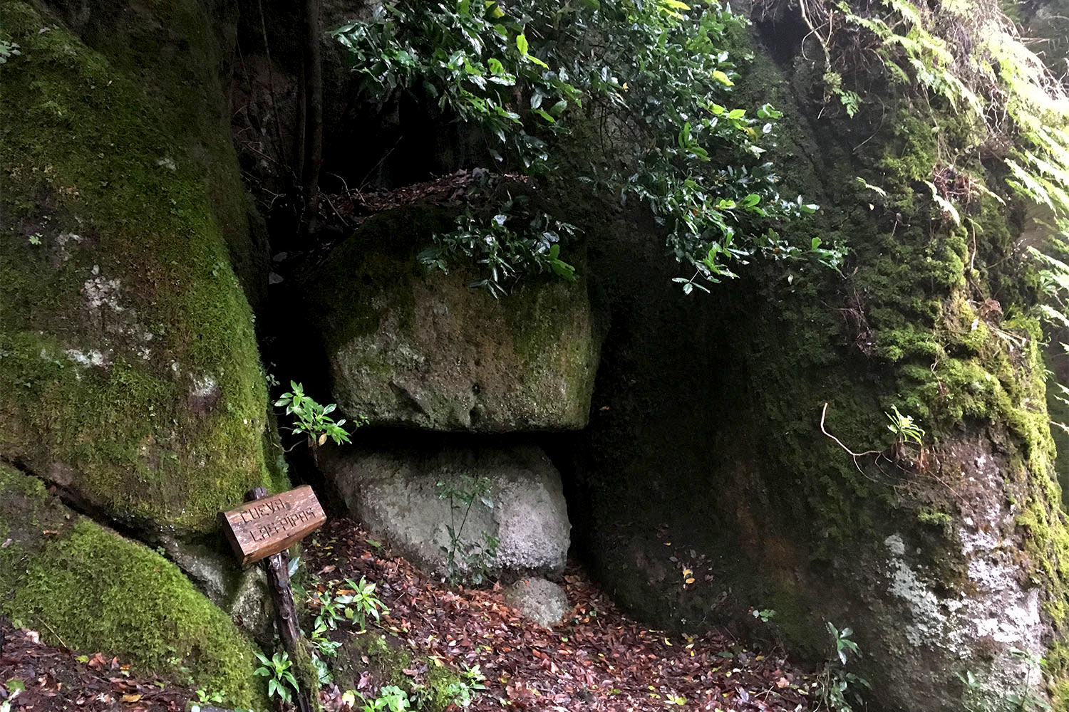 2018-11-kanarische-inseln-IMG_5836mh-el-hierro-camino-de-jinama-cueva-de-las-pipas Camino de Jinama: Cueva de las Pipas . Kanarische Inseln 2018 (Foto: Manuela Hahnebach)