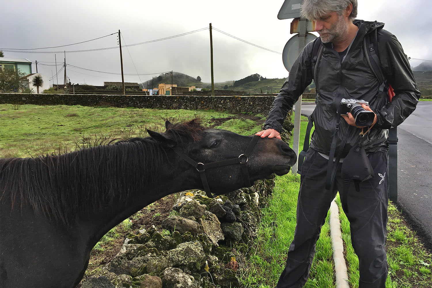 Pferd bei San Andrés . El Hierro . Kanarische Inseln 2018 (Foto: Manuela Hahnebach)