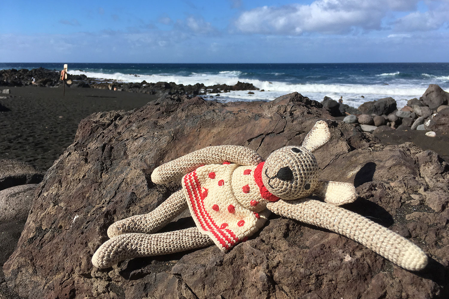 Hasel an der Playa de Ingles . Valle Gran Rey . La Gomera . Kanarische Inseln 2018 (Foto: Manuela Hahnebach)