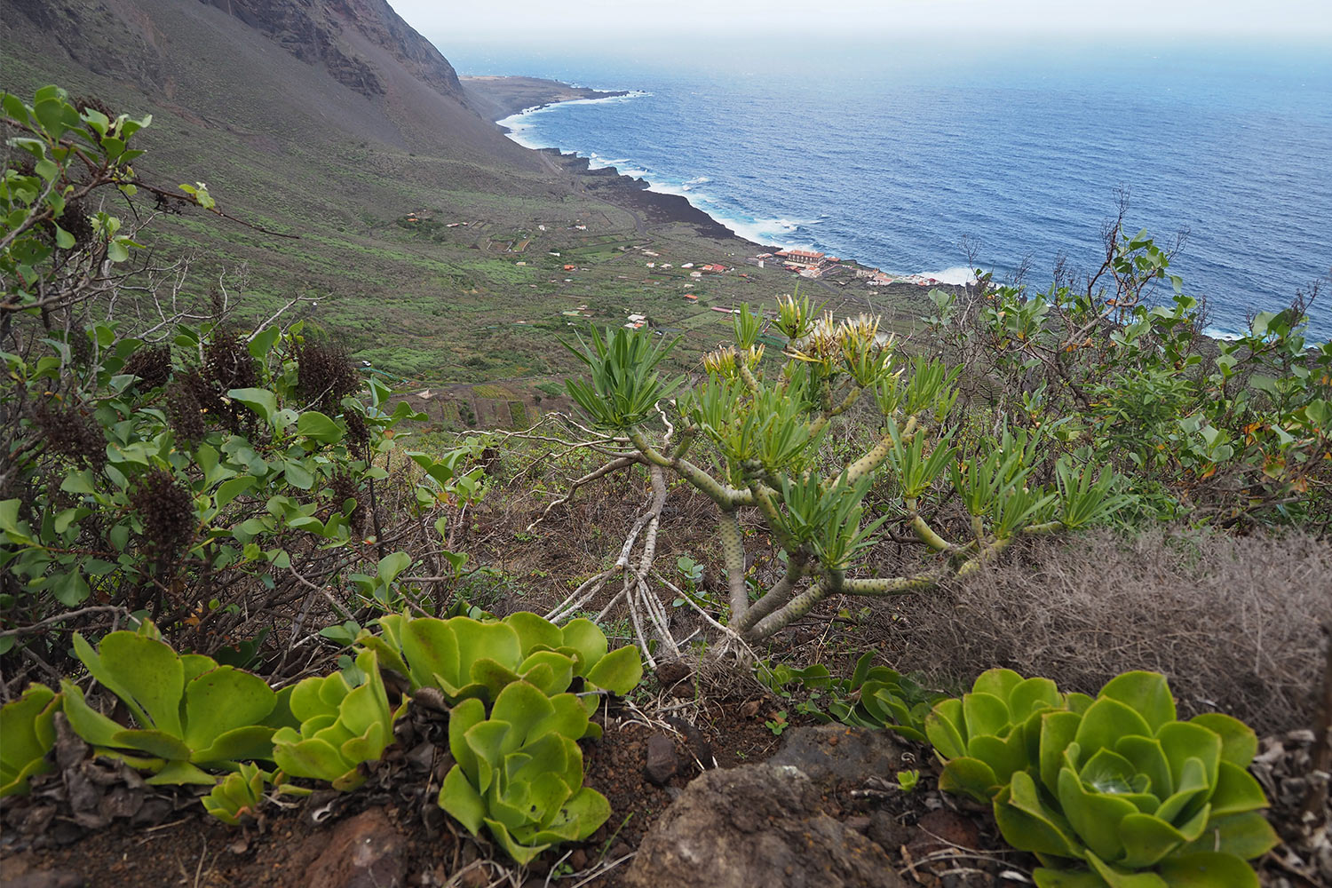 Blick von Sabinosa nach El Pozo de la Salud . El Hierro . Kanarische Inseln 2018 (Foto: Andreas Kuhrt)