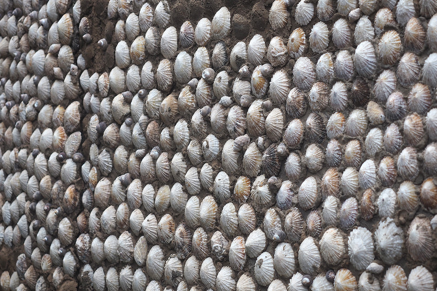 Altes "Schneckenhaus" in El Pozo de la Salud . El Hierro . Kanarische Inseln 2018 (Foto: Andreas Kuhrt)
