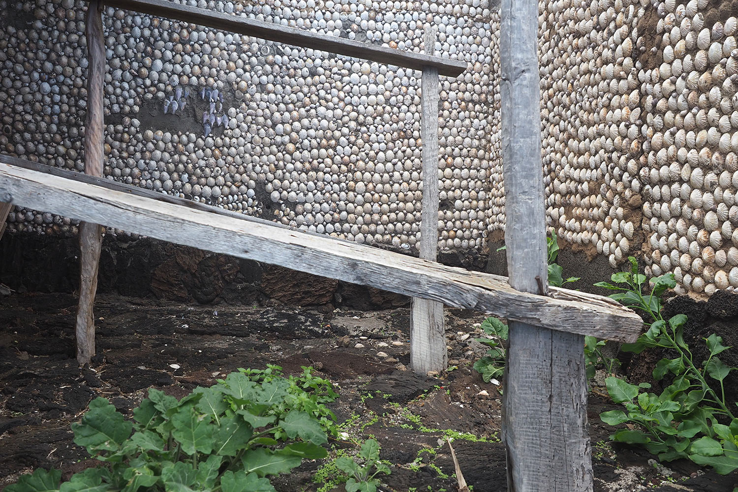 Altes "Schneckenhaus" in El Pozo de la Salud . El Hierro . Kanarische Inseln 2018 (Foto: Andreas Kuhrt)