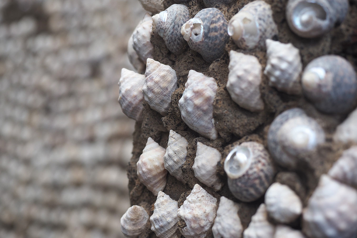 Altes "Schneckenhaus" in El Pozo de la Salud . El Hierro . Kanarische Inseln 2018 (Foto: Andreas Kuhrt)