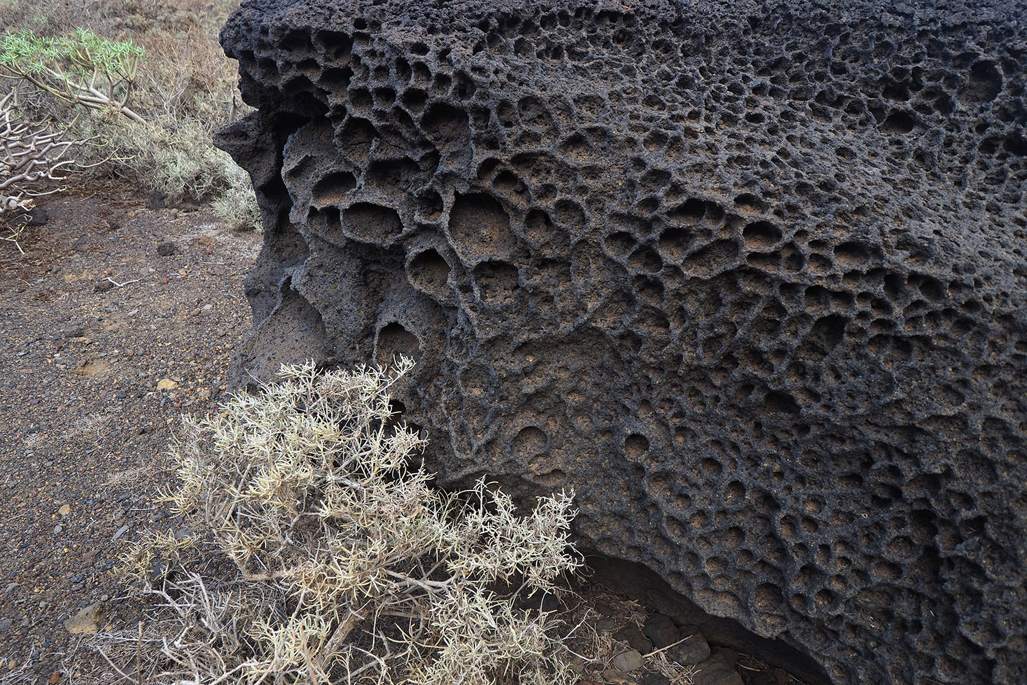 Lavabombe bei Arenas Blancas . El Hierro . Kanarische Inseln 2018 (Foto: Andreas Kuhrt)