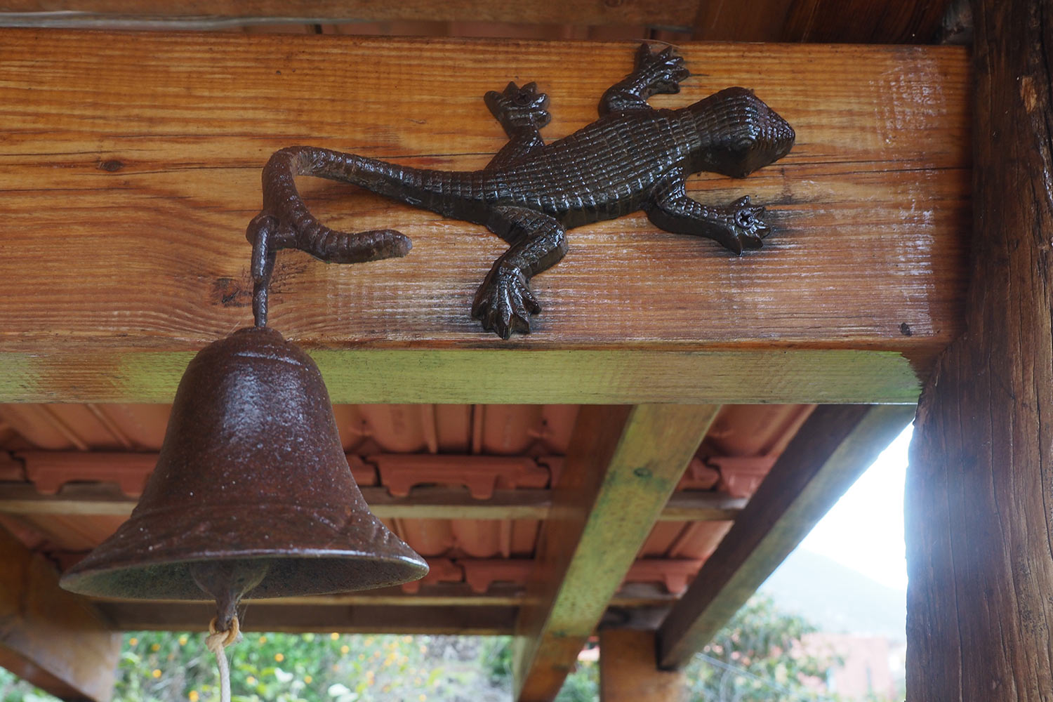 2018-11-kanarische-inseln-M0003380ak-el-hierro-casa-el-lunchon-lagarto Lagarto . Casa El Lunchón . El Hierro . Kanarische Inseln 2018 (Foto: Andreas Kuhrt)