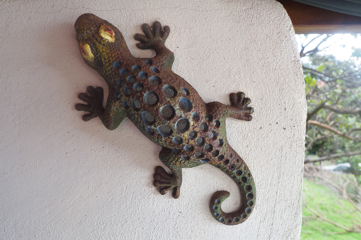 2018-11-kanarische-inseln-M0003383ak-el-hierro-casa-el-lunchon-lagarto Lagarto . Casa El Lunchón . El Hierro . Kanarische Inseln 2018 (Foto: Andreas Kuhrt)
