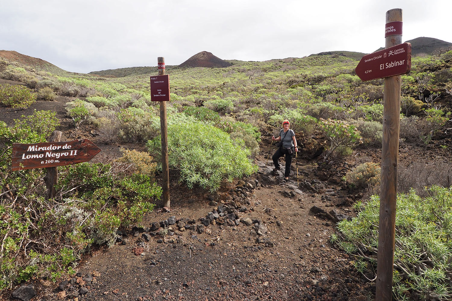 Wanderweg Lomo Negro - El Sabinar . El Hierro . Kanarische Inseln 2018 (Foto: Andreas Kuhrt)