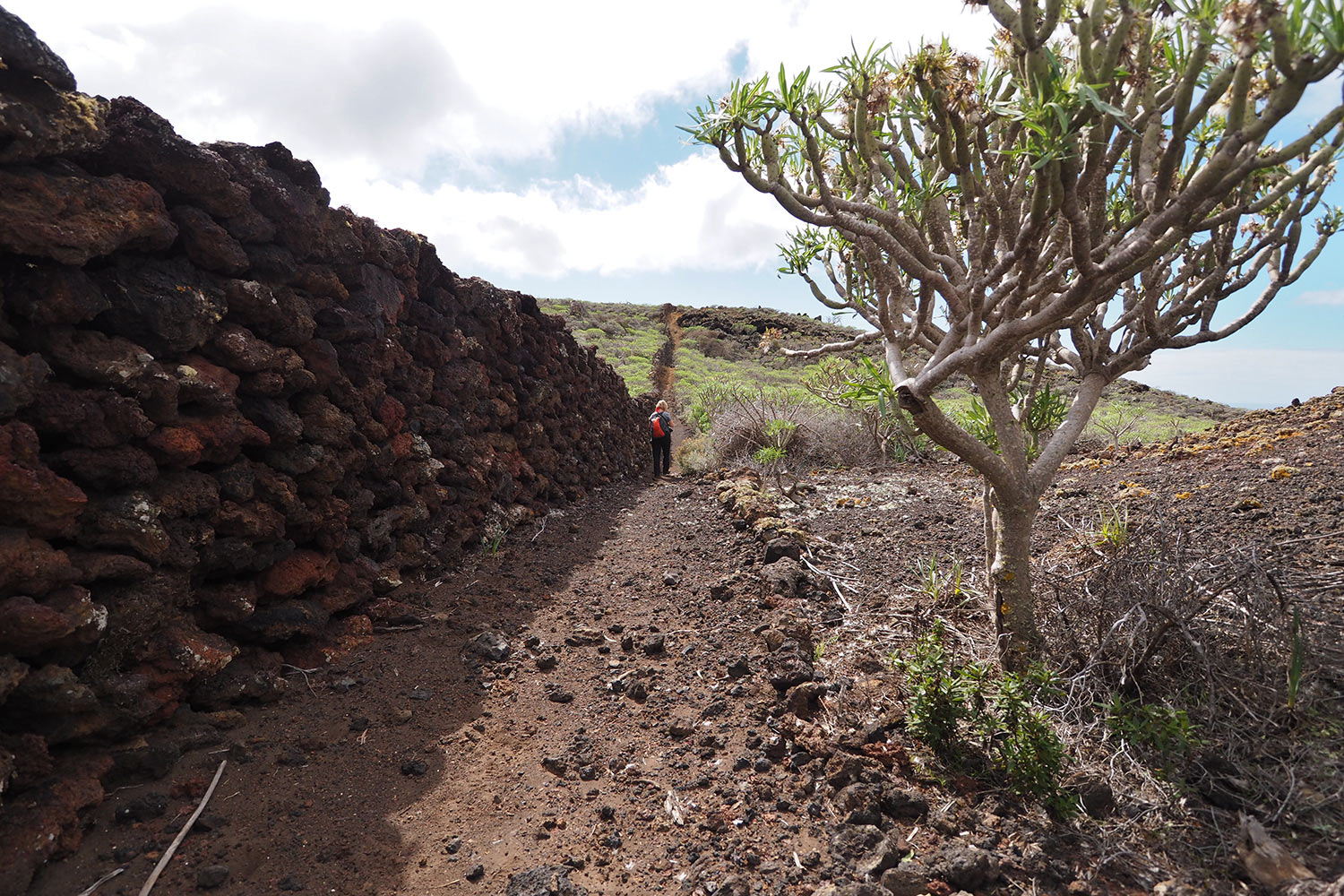 Lava-Trockenmauer im Gebiet La Dehesa/El Sabinar . El Hierro . Kanarische Inseln 2018 (Foto: Andreas Kuhrt)