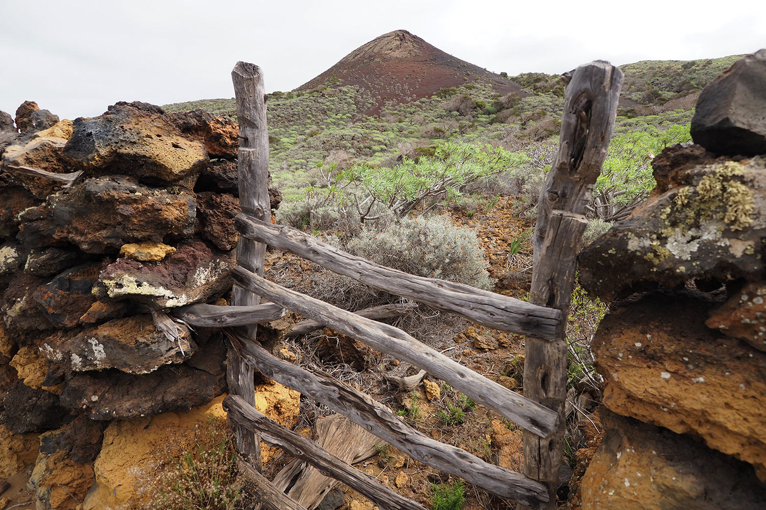 Gatter in La Dehesa . El Hierro . Kanarische Inseln 2018 (Foto: Andreas Kuhrt)