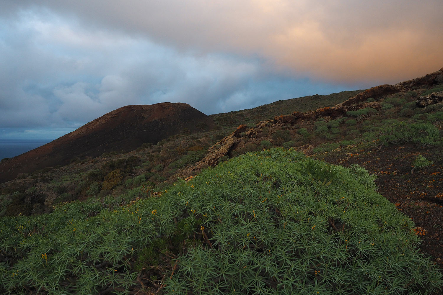 Vulkanlandschaft im Gebiet La Dehesa/El Sabinar . El Hierro . Kanarische Inseln 2018 (Foto: Andreas Kuhrt)