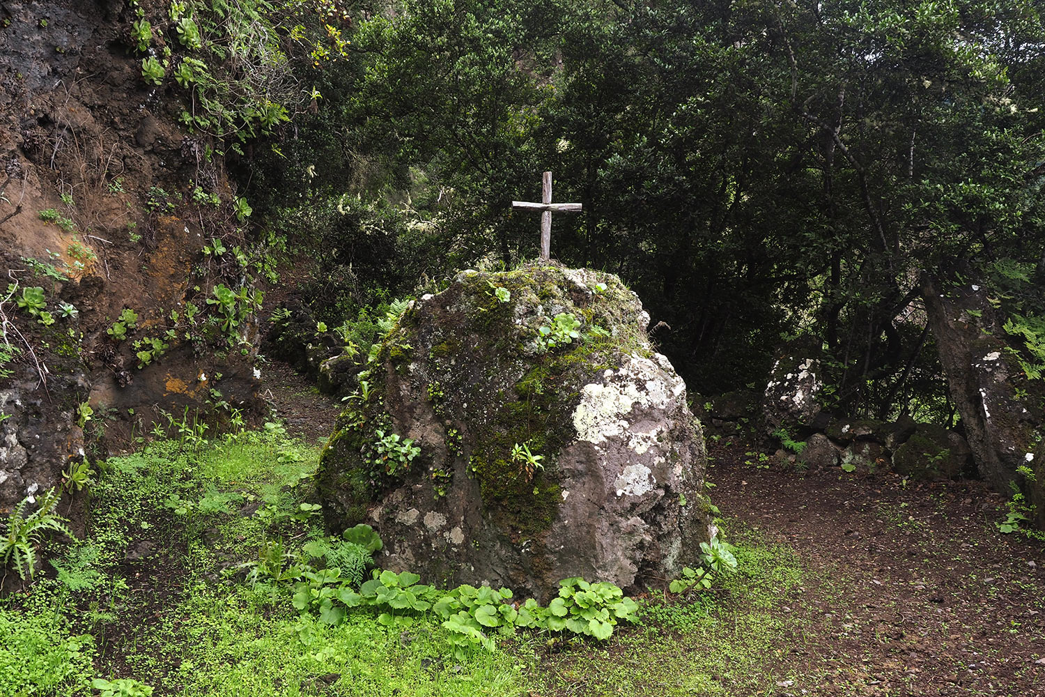 2018-11-kanarische-inseln-M0003900ak-el-hierro-camino-de-jinama-cruz-del-fraile Camino de Jinama: Cruz del Fraile . El Hierro . Kanarische Inseln 2018 (Foto: Andreas Kuhrt)