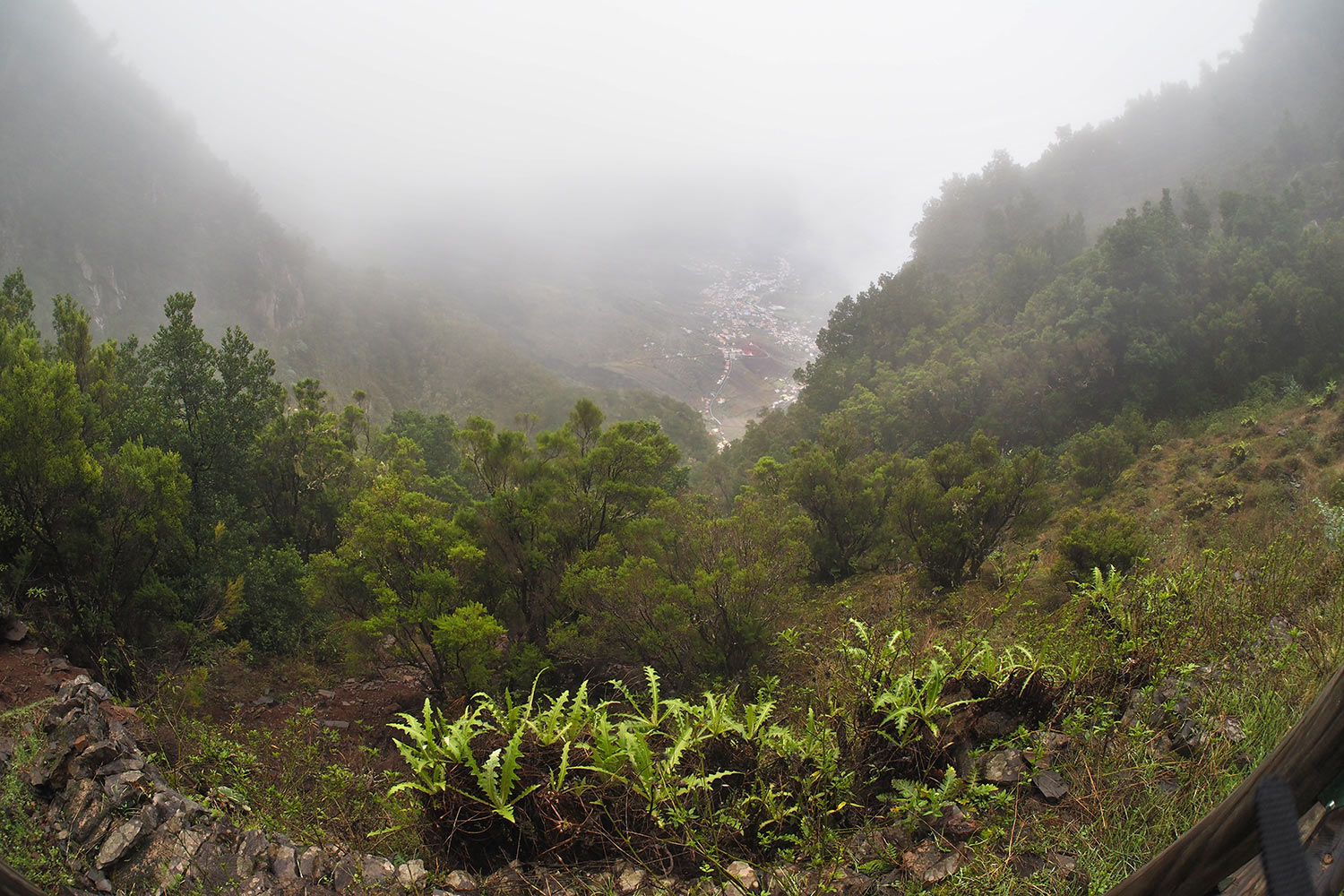 2018-11-kanarische-inseln-M0003970ak-el-hierro-camino-de-jinama-el-miradero Camino de Jinama: Aussicht auf El Golfo . El Hierro . Kanarische Inseln 2018 (Foto: Andreas Kuhrt)