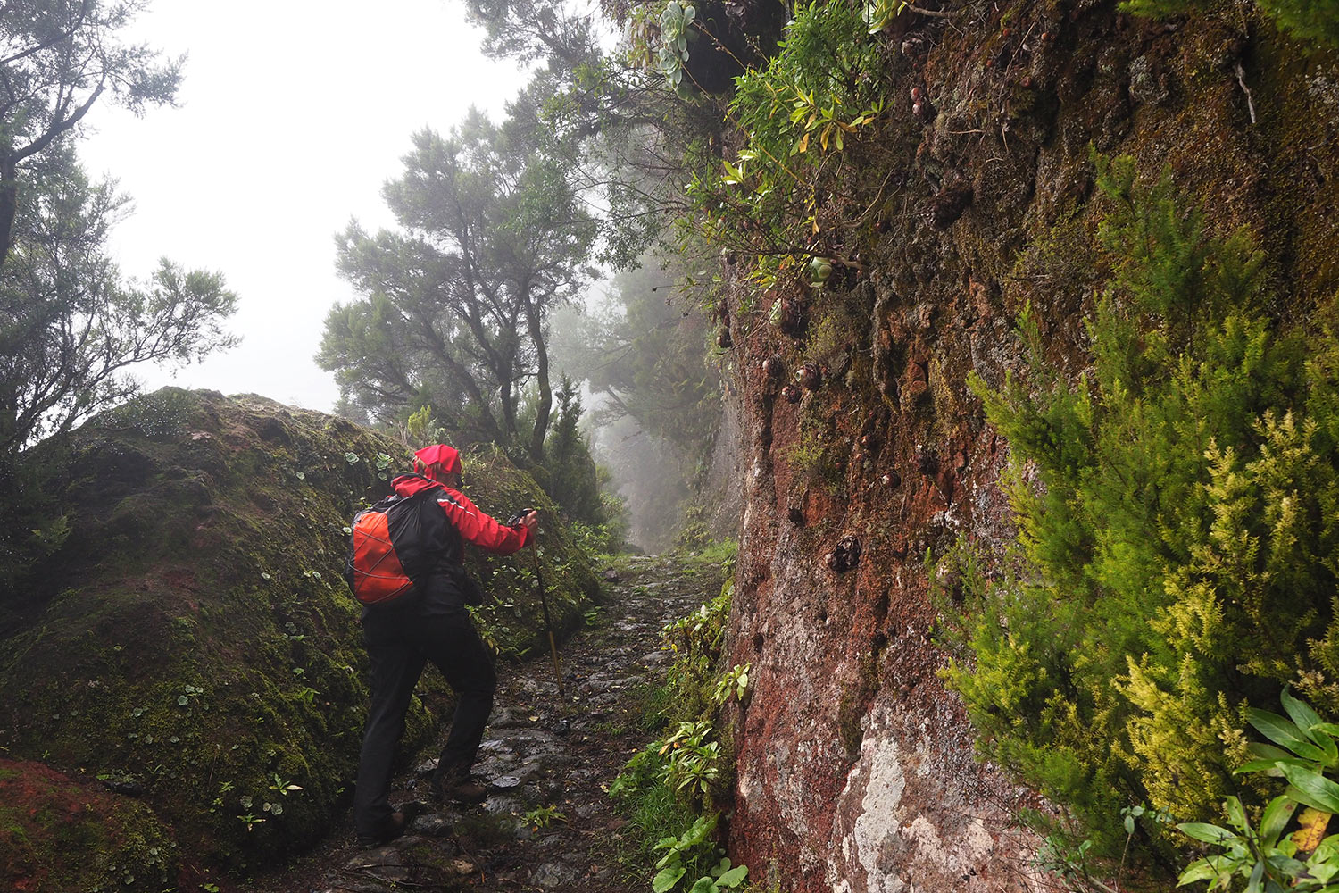 2018-11-kanarische-inseln-M0003974ak-el-hierro-camino-de-jinama Camino de Jinama . El Hierro . Kanarische Inseln 2018 (Foto: Andreas Kuhrt)