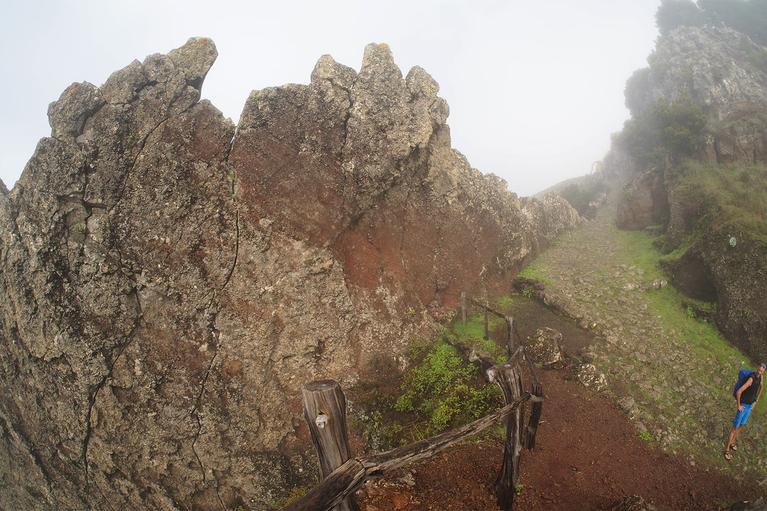 2018-11-kanarische-inseln-M0003991ak-el-hierro-camino-de-jinama-el-letime Camino de Jinama: El Letime . El Hierro . Kanarische Inseln 2018 (Foto: Andreas Kuhrt)