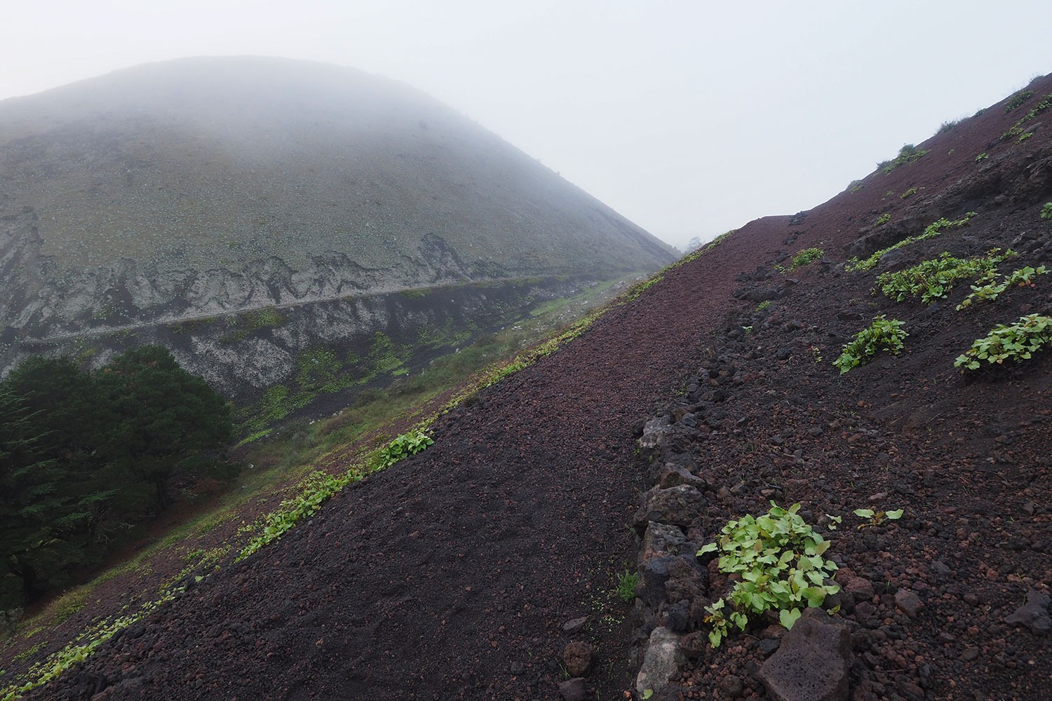 An der Montaña las Chamuscadas . El Hierro . Kanarische Inseln 2018 (Foto: Andreas Kuhrt)