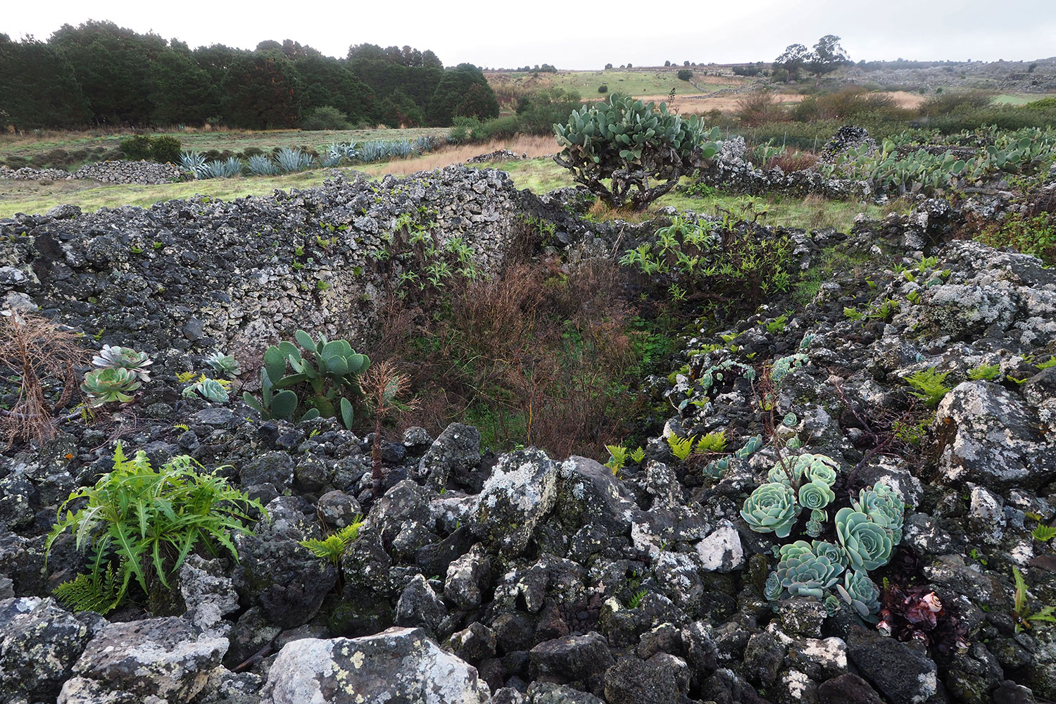 Im Ruinendorf La Albarrada . El Hierro . Kanarische Inseln 2018 (Foto: Andreas Kuhrt)
