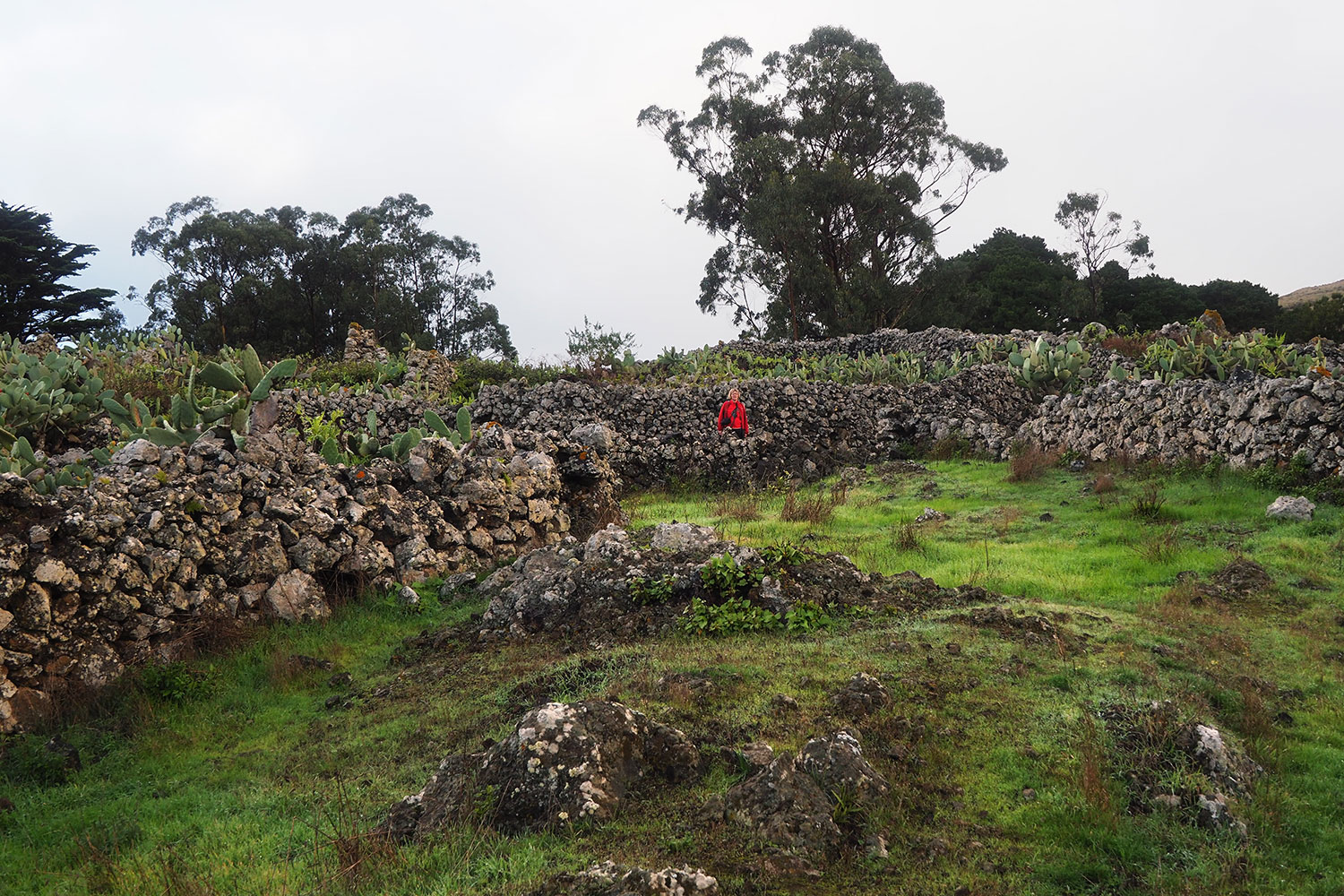Im Ruinendorf La Albarrada . El Hierro . Kanarische Inseln 2018 (Foto: Andreas Kuhrt)